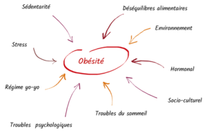 Les raisons de l'obésité
